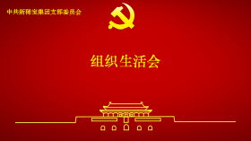 新稀寶黨支部召開2024年度組織生活會及民主評議黨員會議 新稀寶黨支部召開2024年度組織生活會及民主評議黨員會議
